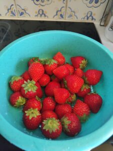 Fraises pour préparation du coulis